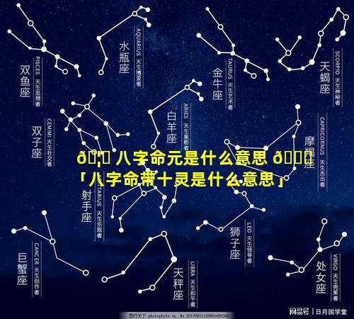 🦅 八字命元是什么意思 🐎 「八字命带十灵是什么意思」